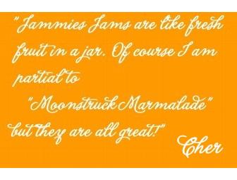 Sixteen Jars of Gourmet Jammies Jams-Yummm!