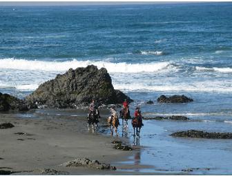 Ricochet Ridge Ranch: Four-hour Guided Horseback Tour; Towering Redwoods, Beach! For 4 People.