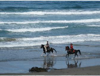 Ricochet Ridge Ranch: Four-hour Guided Horseback Tour; Towering Redwoods, Beach! For 4 People.