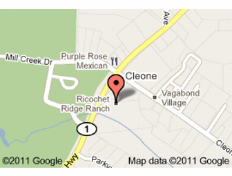 Ricochet Ridge Ranch: Four-hour Guided Horseback Tour; Towering Redwoods, Beach! For 4 People.