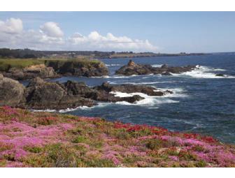 Listen to the Waves at Castle Rock Cottage in Mendocino for 4 Glorious Days and Starry Nights!