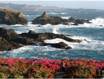 Listen to the Waves at Castle Rock Cottage in Mendocino for 3 Glorious Days and Starry Nights!