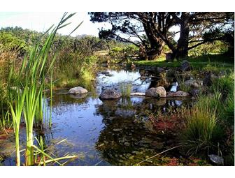 A Magical Night at the Brewery Gulch Inn, Mendocino