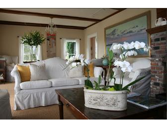 Glendeven Inn - Ever Had a Night's Lodging for 2, Wine Tasting, Ocean and Llama Viewing All in One??