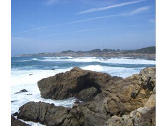 Glendeven Inn - Ever Had a Night's Lodging for 2, Wine Tasting, Ocean and Llama Viewing All in One??