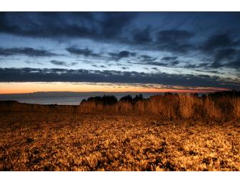 Glendeven Inn - Ever Had a Night's Lodging for 2, Wine Tasting, Ocean and Llama Viewing All in One??