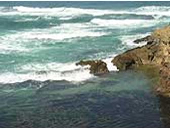 Location! Be At Both the Beach & Coastal Trail for 3 Nights at the Beachcomber (for 2)