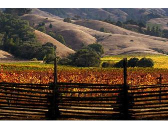 Here's the Chauffeured Wine Limo Tour (for 2) You've Always Thought About Doing!!