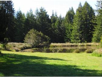 Experience the Serenity of a Rare Japanese Tea Ceremony (for 4)