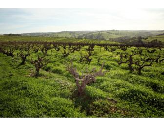Imported Wines from the Cellars of Clayton Daley