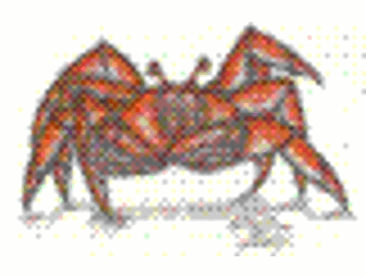 Mendocino Coast Clinics Crab Cake Cook-Off and Wine Tasting: Two Tickets