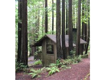 Mendocino Woodlands Camp! Tour, Gourmet Lunch for up to 20! Transport from Mendo Included!