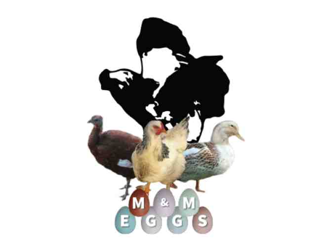 Christmas Goose - courtesy of M&M Eggs