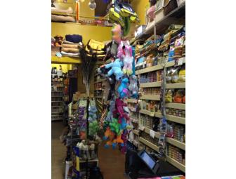 Petqua - $25 Gift Certificate