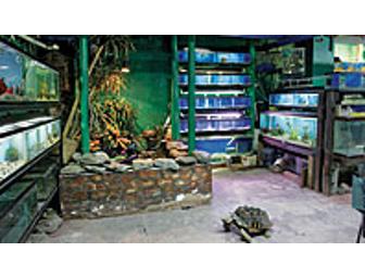 Petqua - $25 Gift Certificate