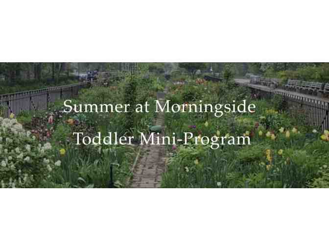 Summer of Science at Morningside Montessori School - One Session of Toddler Camp