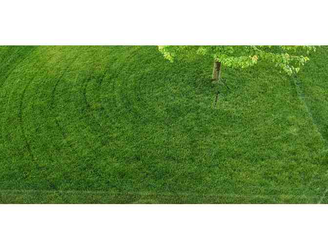 1-year FREE organic lawn care - standard program