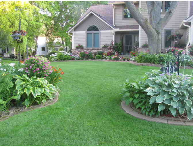 1-year FREE organic lawn care - standard program