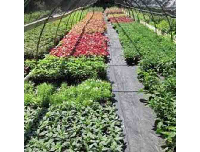 $50 Gift Card at Twin Orchards Nursery in Shorewood
