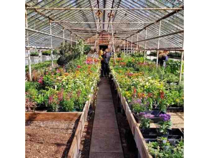 $100 Kelley & Kelley Nursery Gift Card