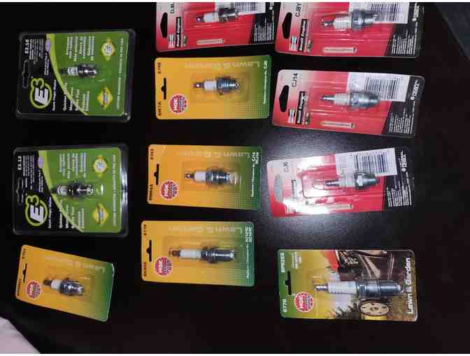 125-piece Spark Plug Assortment