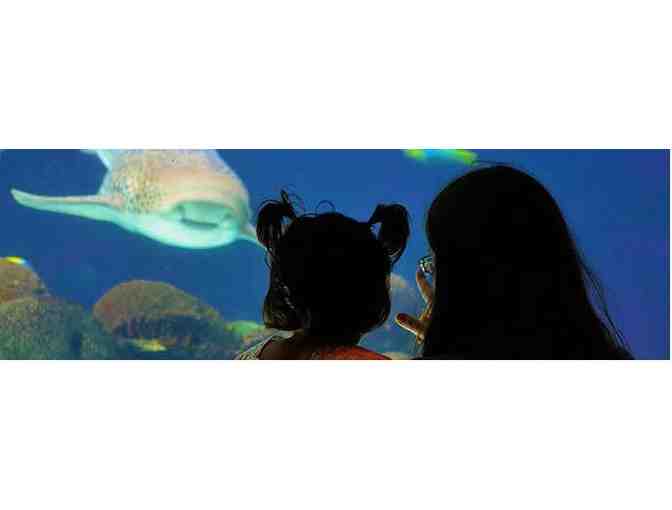 Minnesota Zoo - Two free passes