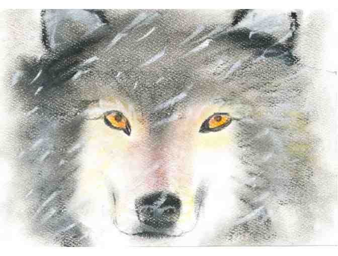 Original portrait of your pet in pastels by illustrator Tessie Bundick