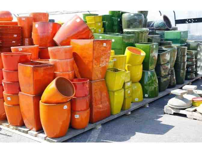 Sunnyside Gardens - $30 gift card