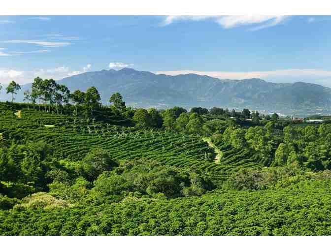 3 Fabulous Nights in the "City of Flowers" for 2 - Photo 2