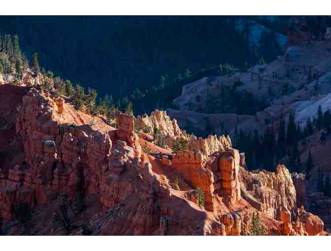 5 Night Vacation to the Rockies - Photo 9