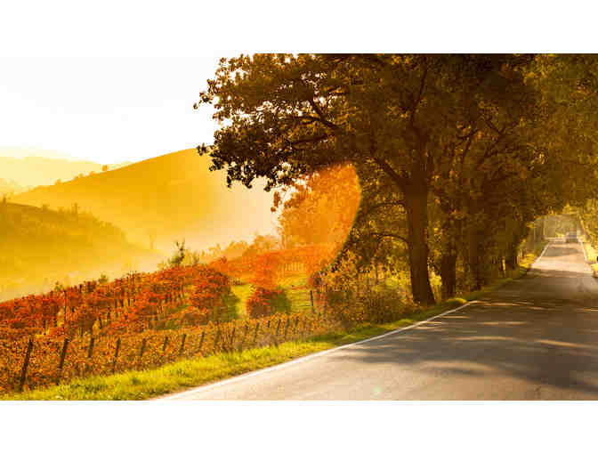 Ferrari Fantasy - Photo 7