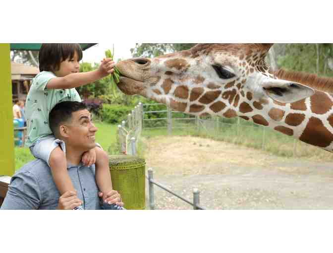 San Francisco Family Fun - Photo 17