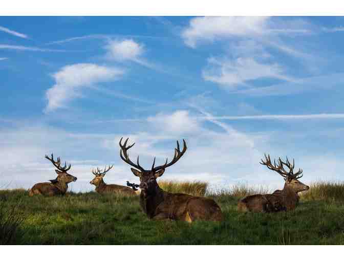 Argentina Big Game Hunt for 4-Hunters - Photo 1