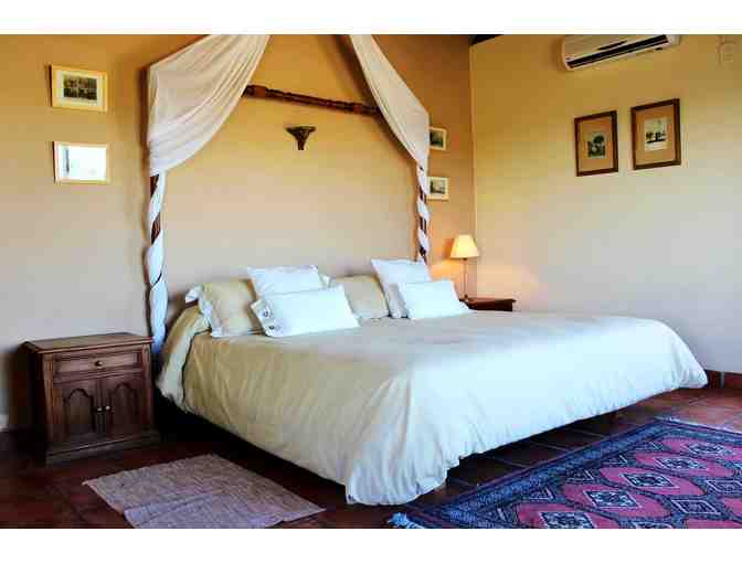 Argentina Big Game Hunt for 4-Hunters - Photo 5