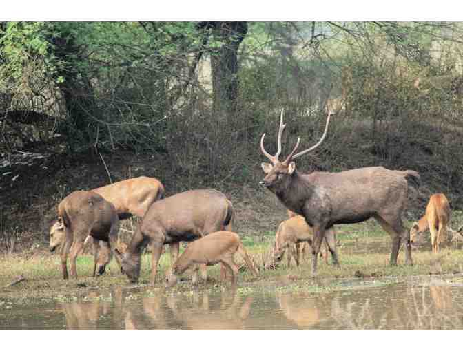 New Zealand Hunting Trip for Four Hunters - Photo 18