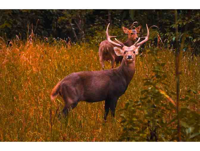New Zealand Hunting Trip for Four Hunters - Photo 19
