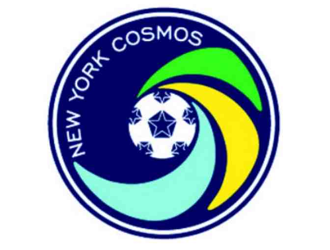 NY Cosmos training session for 8-12 children. (Great for a birthday party)