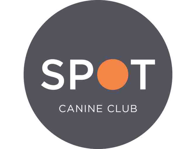 SPOT Canine Club - Doggie daycare package