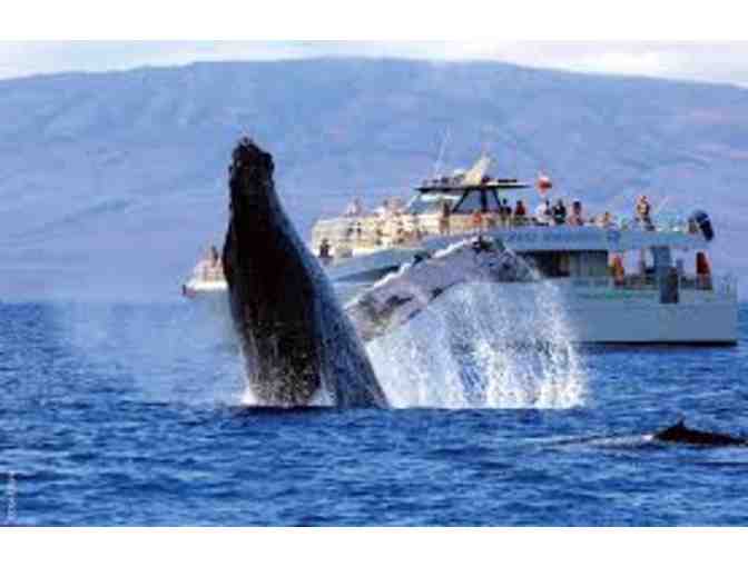 Monterey Bay Whale Watch - Photo 1