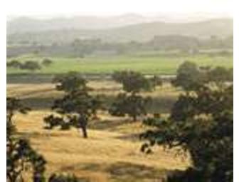 Firestone Vineyards Wine Tasting for Four