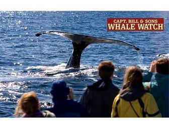 Two Passes for Capt. Bill & Sons Whale Watch