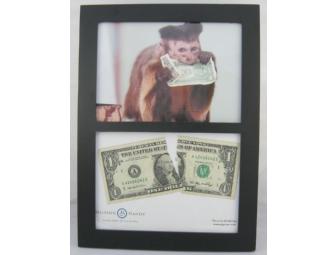 Framed photo of a Helping Hands monkey with a dollar & the bill used in the photoshoot!