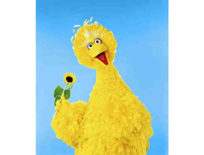 Autographed Photo and Feather from Big Bird