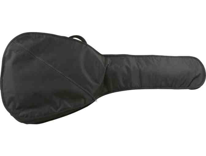 Rogue Acoustic Guitar & Softshell Bag and 3 Private Guitar Lessons with Matthew Wright