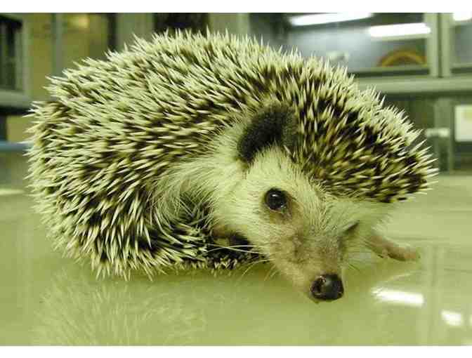 New England Fun Package! Kids Activities all over New England!