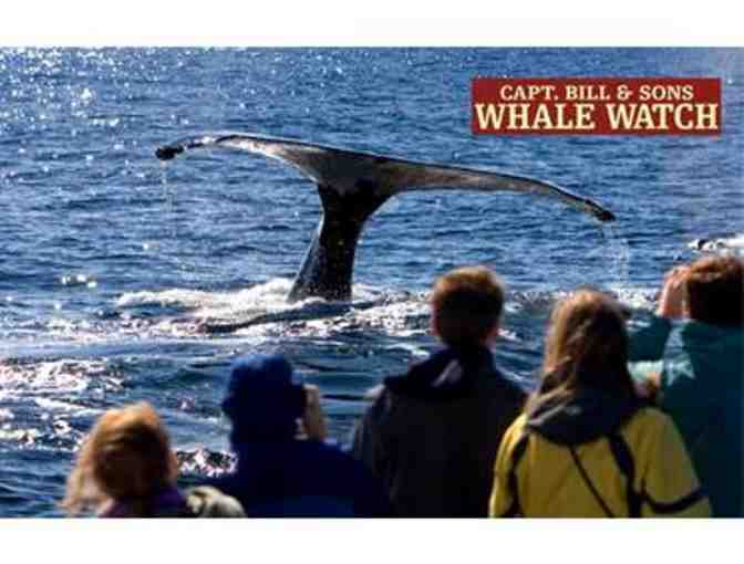 North Shore Adventure-Peabody Essex Museum, Salem Witch Museum, & Capt. Bill's Whale Watch