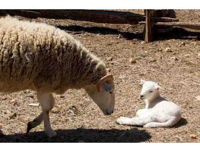 Educational Adventures in MA - Audubon Society and Old Sturbridge Village