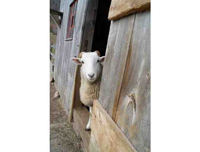 Educational Adventures in MA - Audubon Society and Old Sturbridge Village