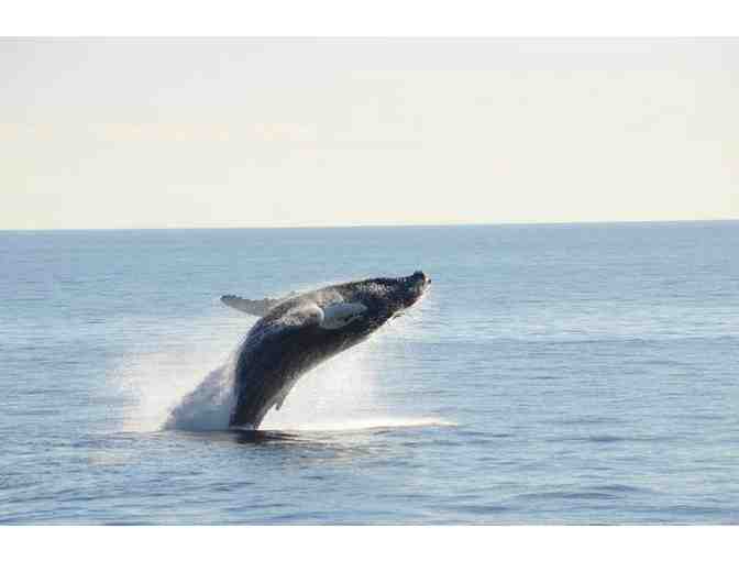 Get-away-Westin Waltham, Boston Harbor Cruises, Isabella Stewart Gardner Museum & Stellina