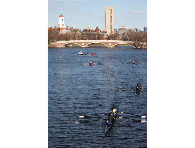 Row On The Charles River and Lunch in Harvard Square with Olympic Medalist Dan Walsh